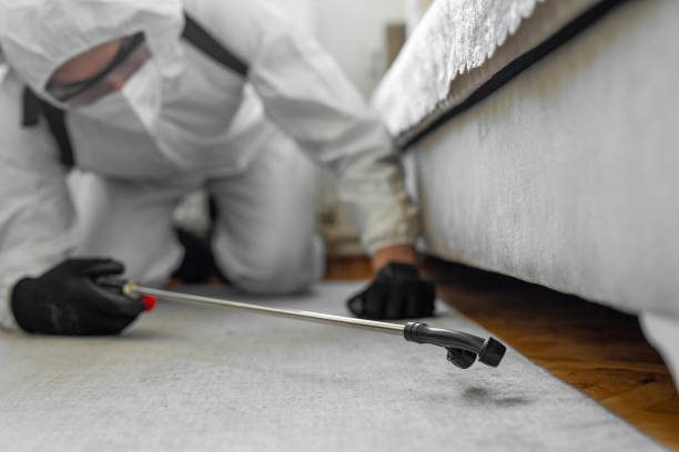 Professional Termite Control technician working in Thruston, KY