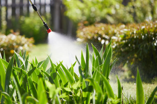 24/7 Emergency Termite Control experts in Thruston, KY